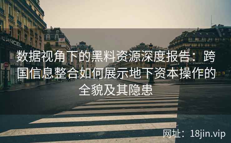 数据视角下的黑料资源深度报告：跨国信息整合如何展示地下资本操作的全貌及其隐患