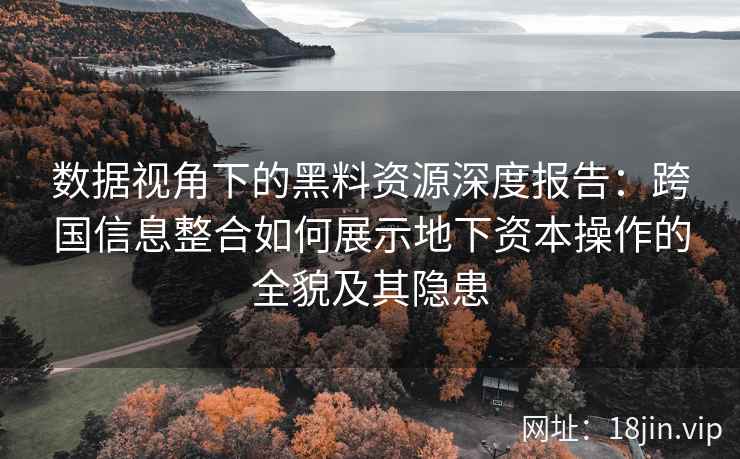 数据视角下的黑料资源深度报告:跨国信息整合如何展示地下资本操作的全貌及其隐患 数据视角下的黑料资源深度报告:跨国信息整合如何展示地下资本操作的全貌及其隐患